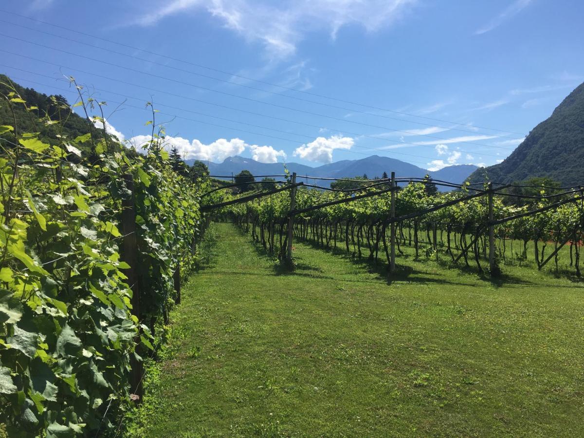 B&B La Casa In Collina Trento Exterior photo