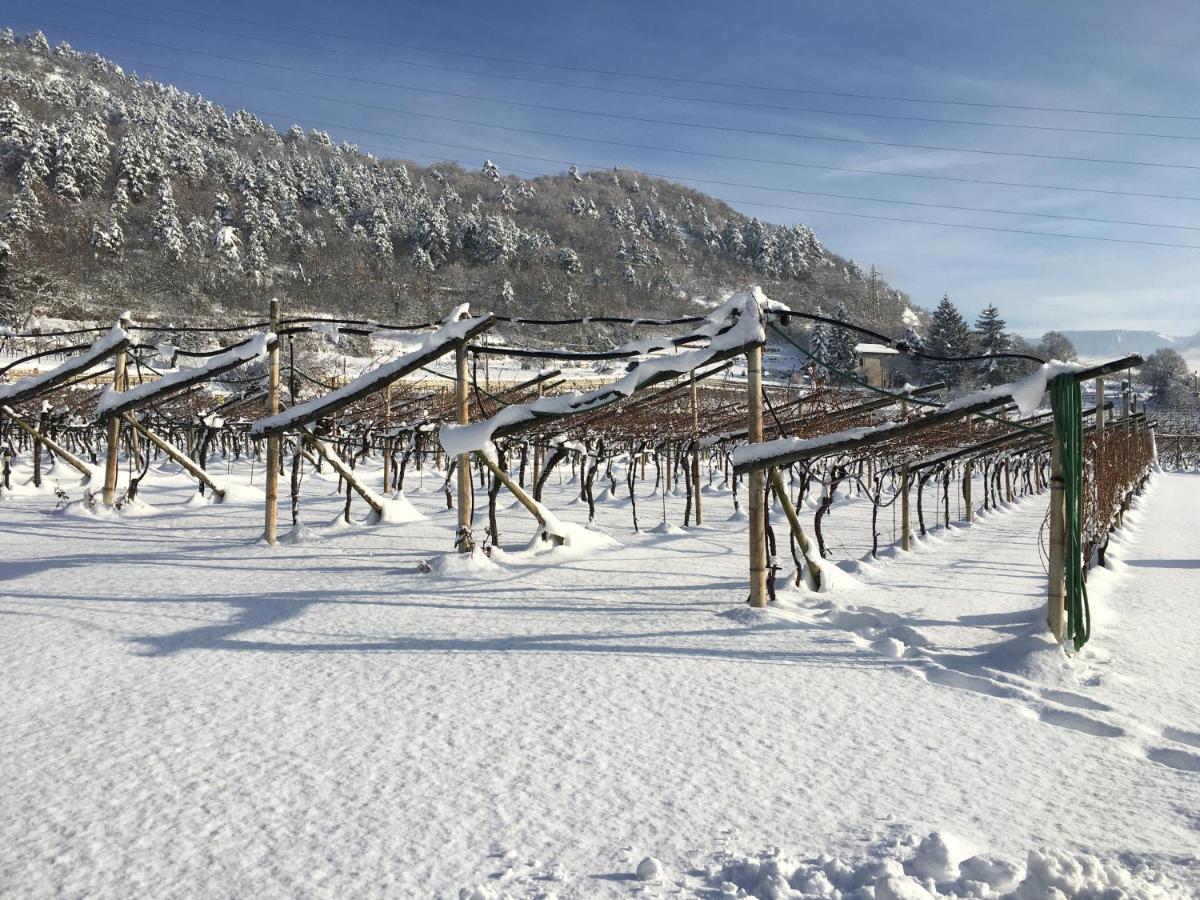 B&B La Casa In Collina Trento Exterior photo