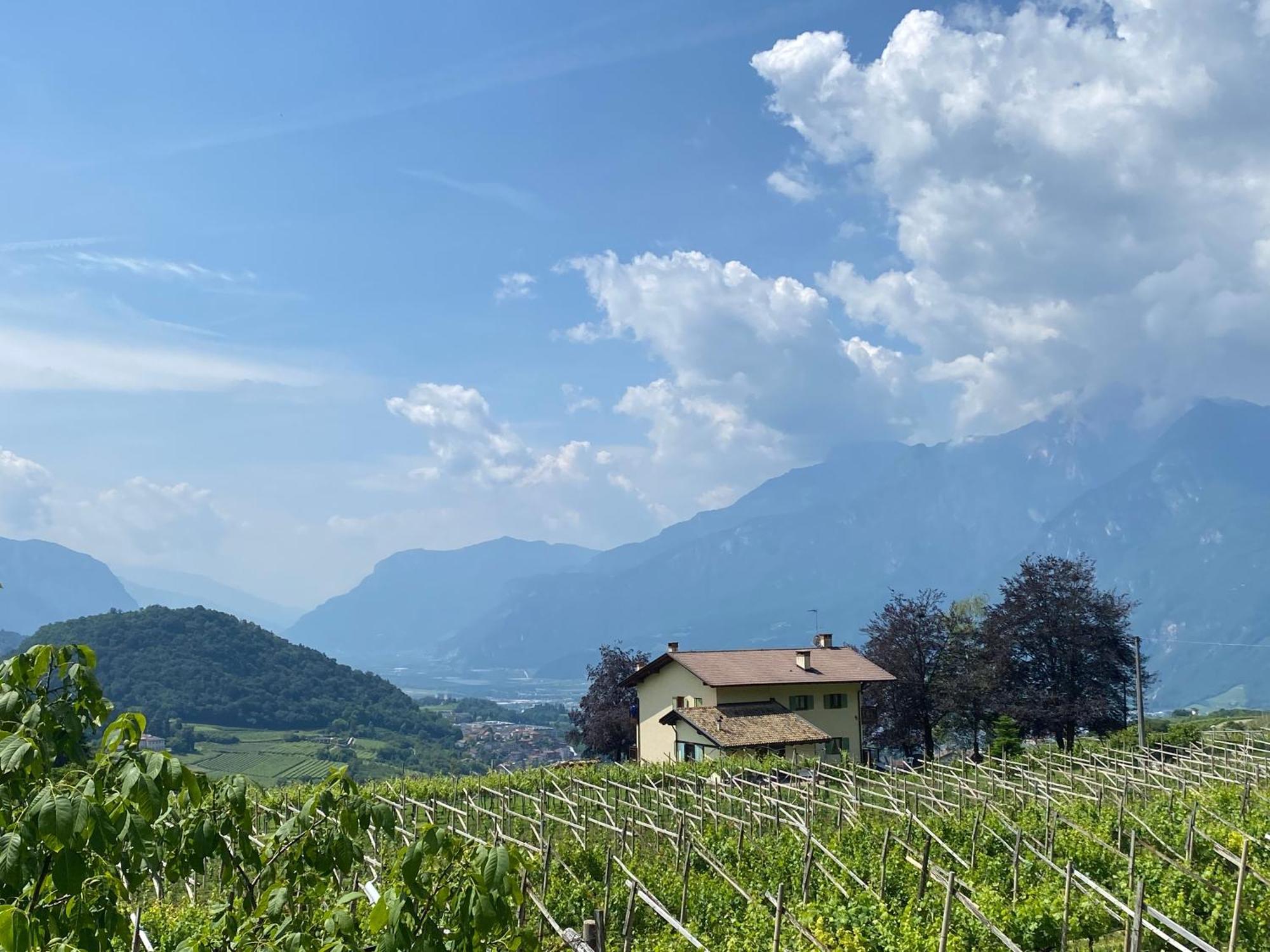 B&B La Casa In Collina Trento Exterior photo